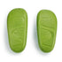 Premium Dinosaur Slides - EvoShark